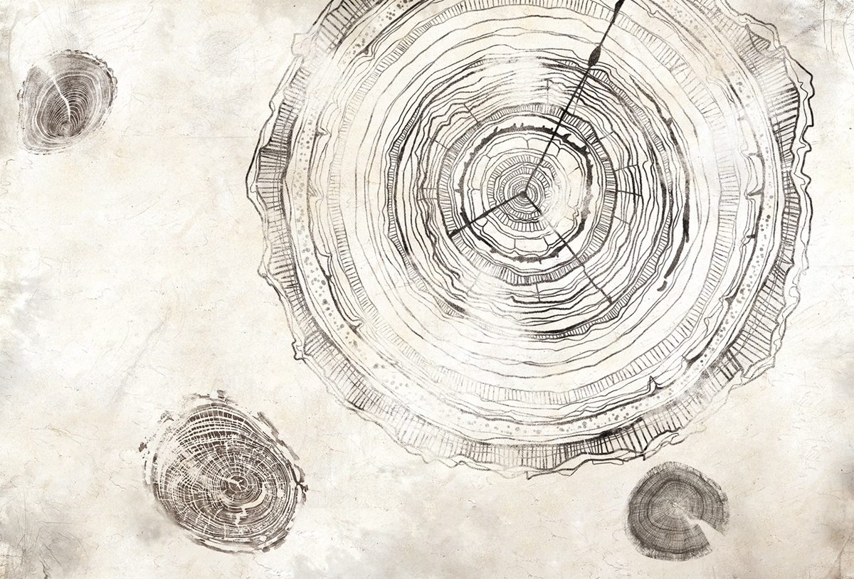 [创意星空在线 - 附件|装饰画/墙饰|办公星空在线|星空在线（中国）星空在线|万物生长-原创定制壁画]